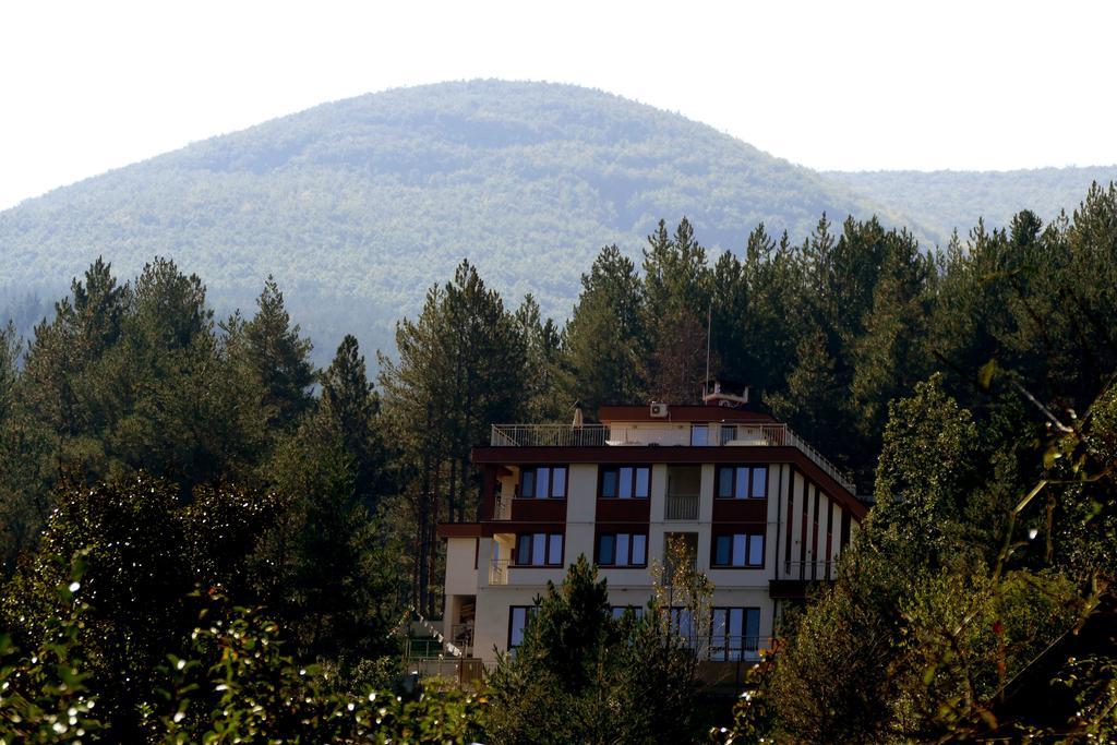 Mala Planina Guest House Iskrets Extérieur photo