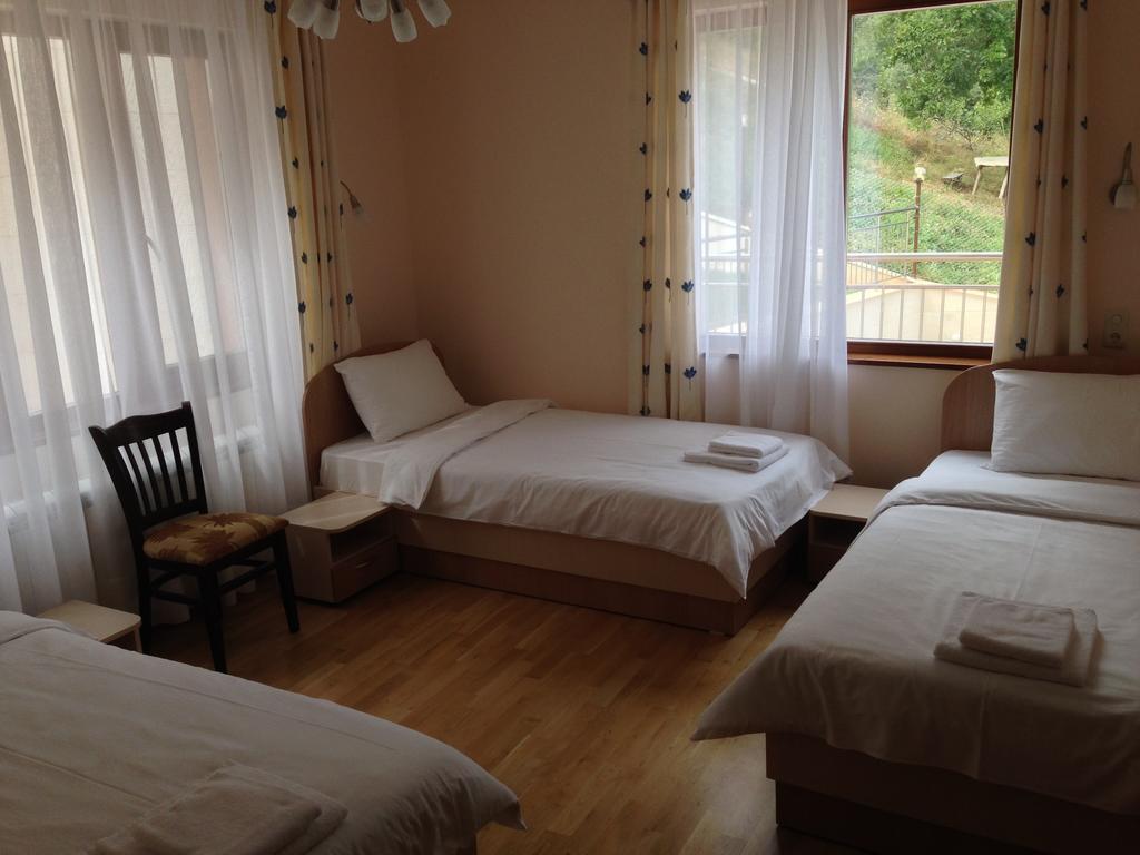 Mala Planina Guest House Iskrets Chambre photo